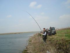 hobaia 2009